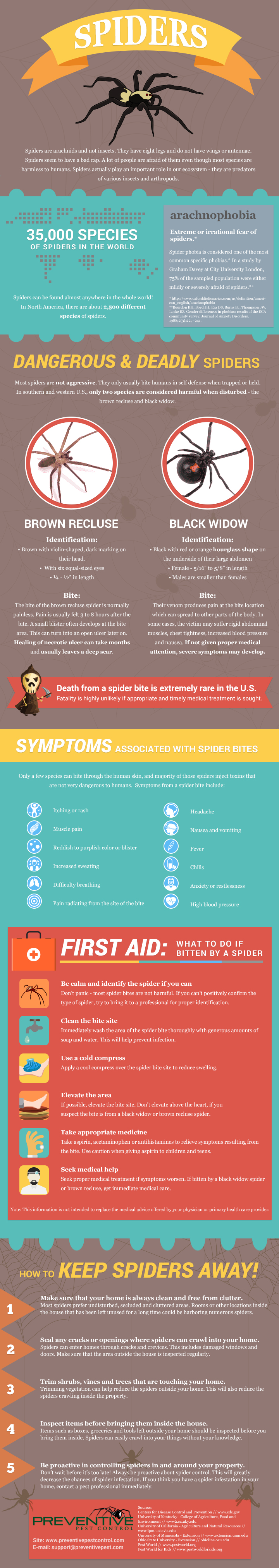 Spider Infographic